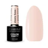 *Dusty Rose* - Esmalte semipermanente Soak off - 01>Claresa New