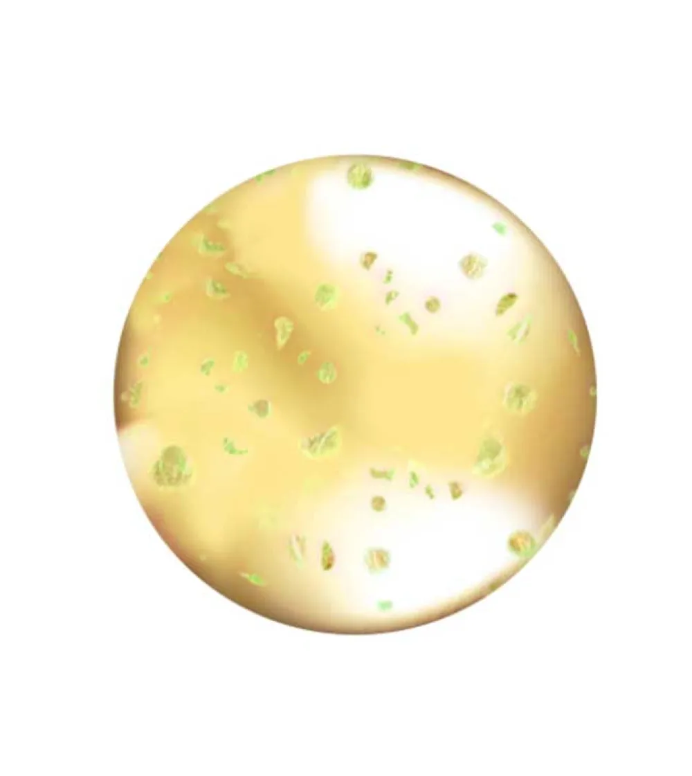 L.A Colors - Brillo de labios Lip Oil - CLG442: Hunnybun>L.A. Colors