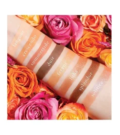 Paleta de sombras - Petit Pro Solstice>Viseart