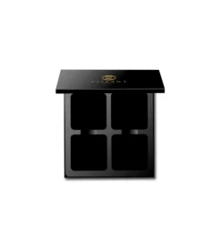 Paleta magnética vacía Empty 4-Well VISEPRO™>Viseart Hot