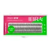 Pestañas postizas individuales Foxy Eye 0.10 J - Mix de tamaño>Ibra Best