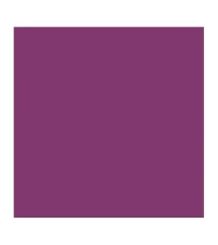 *Vegan Collagen* - Barra de labios HypoAllergenic Plumping Color Lipstick - 05: Plum>Bell Clearance